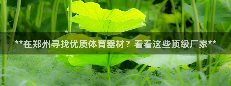 耀世平台信 585341 平台：**在郑州寻找优质体