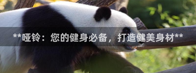 耀世平台最新注册地址在哪里：**哑铃：您的健身必备，