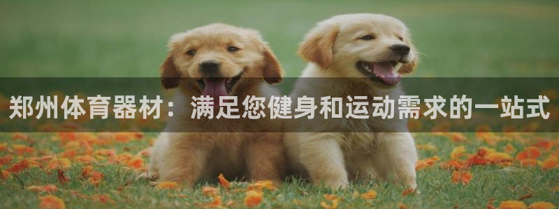 六星耀世什么意思：郑州体育器材：满足您健身和运动需求