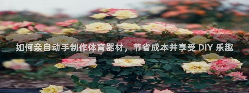 耀世平台哪个彩种是公平彩：如何亲自动手制作体育器材，