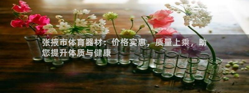 耀世娱乐平台注册地址在哪里：张掖市体育器材：价格实惠