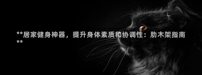 耀世盛启什么意思：**居家健身神器，提升身体素质和协