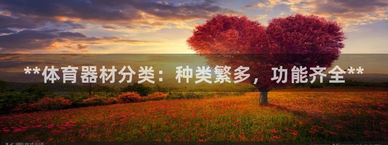 耀世三国官网：**体育器材分类：种类繁多，功能齐全**