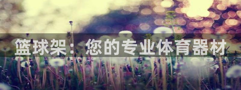 耀世娱乐客服怎么样