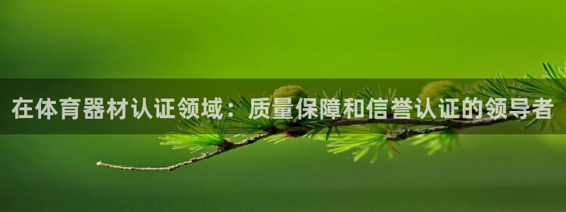 耀世国际集团是国企吗