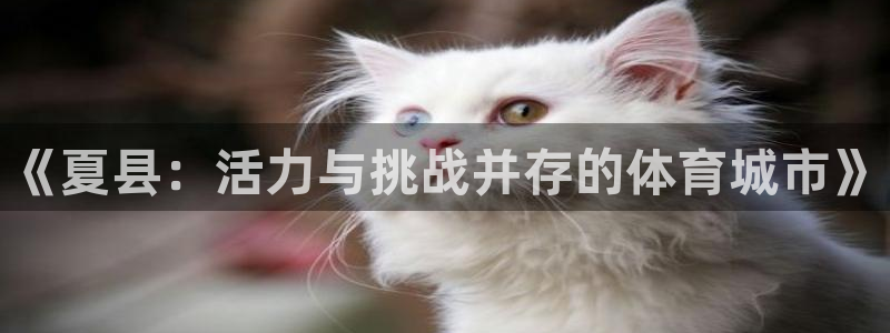 耀世娱乐是玛雅旗下的吗是真的吗：《夏县：活力与挑战并存的体育