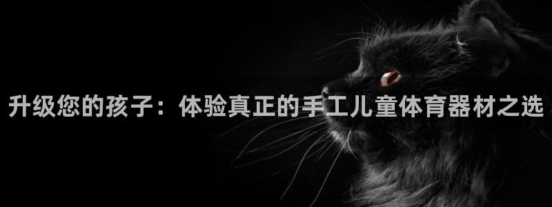 耀世平台先 58534I 耀世：升级您的孩子：体验真正的手工