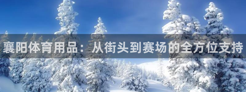 耀世娱乐注册开户要钱吗:襄阳体育用品:从街头到赛场的全方位支
